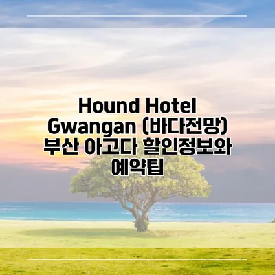 Hound Hotel Gwangan (바다전망) 부산 아고다 할인정보와 예약팁