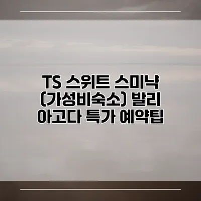 TS 스위트 스미냑 (가성비숙소) 발리 아고다 특가 예약팁