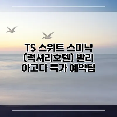 TS 스위트 스미냑 (럭셔리호텔) 발리 아고다 특가 예약팁