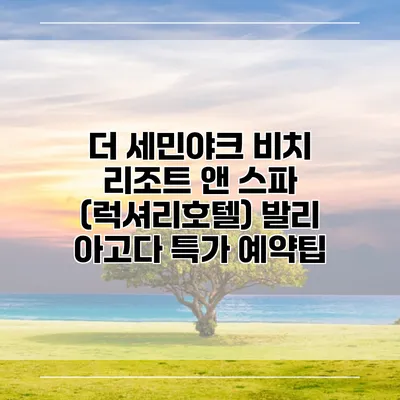더 세민야크 비치 리조트 앤 스파 (럭셔리호텔) 발리 아고다 특가 예약팁