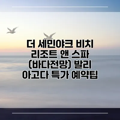 더 세민야크 비치 리조트 앤 스파 (바다전망) 발리 아고다 특가 예약팁