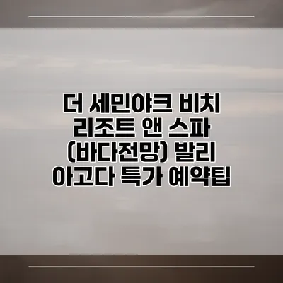 더 세민야크 비치 리조트 앤 스파 (바다전망) 발리 아고다 특가 예약팁