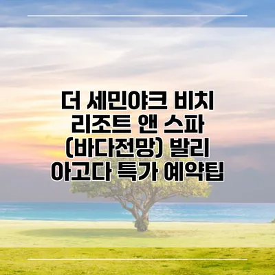 더 세민야크 비치 리조트 앤 스파 (바다전망) 발리 아고다 특가 예약팁