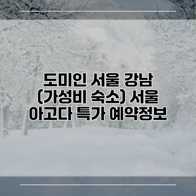 도미인 서울 강남 (가성비 숙소) 서울 아고다 특가 예약정보