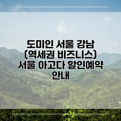 도미인 서울 강남 (역세권 비즈니스) 서울 아고다 할인예약 안내