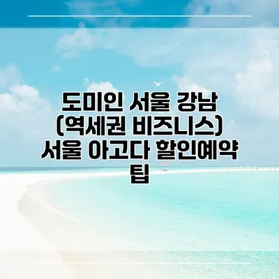 도미인 서울 강남 (역세권 비즈니스) 서울 아고다 할인예약 팁