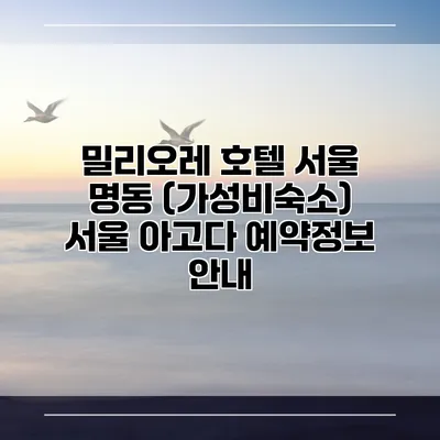 밀리오레 호텔 서울 명동 (가성비숙소) 서울 아고다 예약정보 안내