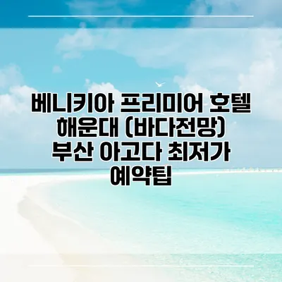 베니키아 프리미어 호텔 해운대 (바다전망) 부산 아고다 최저가 예약팁