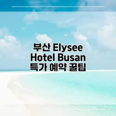 부산 Elysee Hotel Busan 특가 예약 꿀팁