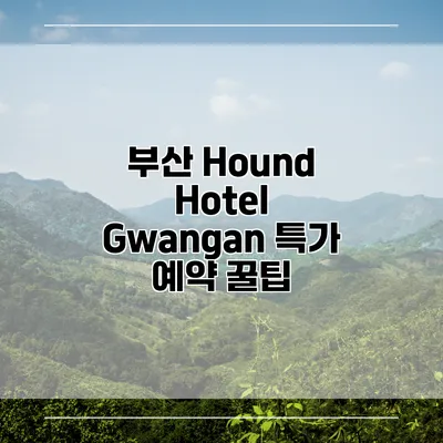 부산 Hound Hotel Gwangan 특가 예약 꿀팁