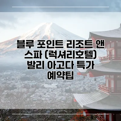 블루 포인트 리조트 앤 스파 (럭셔리호텔) 발리 아고다 특가 예약팁