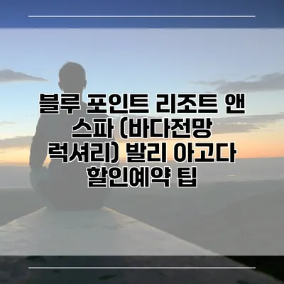 블루 포인트 리조트 앤 스파 (바다전망 럭셔리) 발리 아고다 할인예약 팁