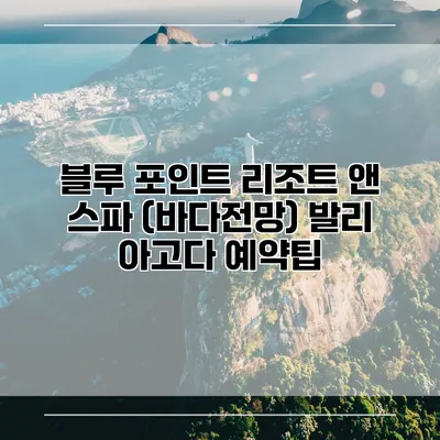 블루 포인트 리조트 앤 스파 (바다전망) 발리 아고다 예약팁