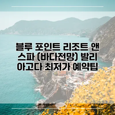 블루 포인트 리조트 앤 스파 (바다전망) 발리 아고다 최저가 예약팁