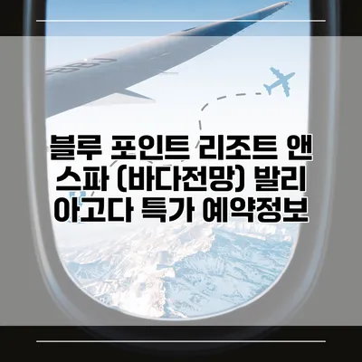 블루 포인트 리조트 앤 스파 (바다전망) 발리 아고다 특가 예약정보