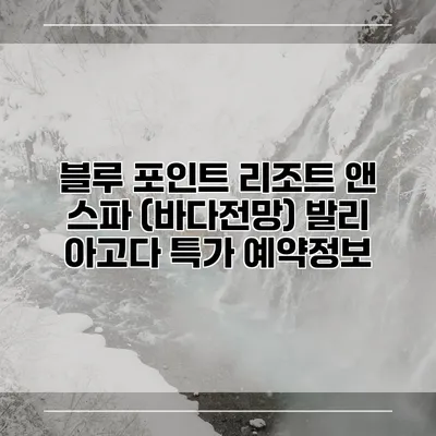 블루 포인트 리조트 앤 스파 (바다전망) 발리 아고다 특가 예약정보