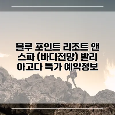 블루 포인트 리조트 앤 스파 (바다전망) 발리 아고다 특가 예약정보