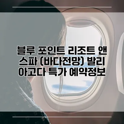 블루 포인트 리조트 앤 스파 (바다전망) 발리 아고다 특가 예약정보