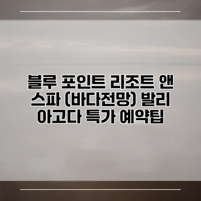 블루 포인트 리조트 앤 스파 (바다전망) 발리 아고다 특가 예약팁