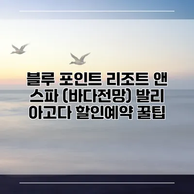 블루 포인트 리조트 앤 스파 (바다전망) 발리 아고다 할인예약 꿀팁