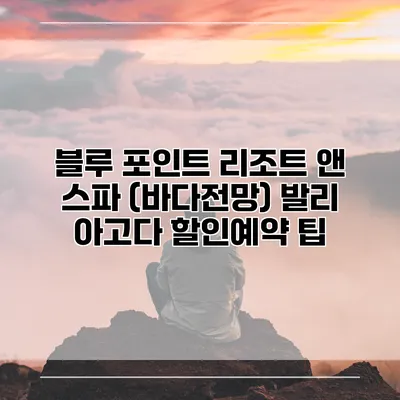 블루 포인트 리조트 앤 스파 (바다전망) 발리 아고다 할인예약 팁