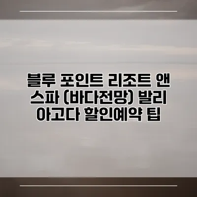 블루 포인트 리조트 앤 스파 (바다전망) 발리 아고다 할인예약 팁