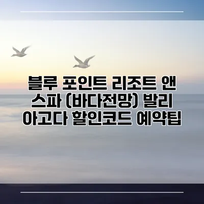 블루 포인트 리조트 앤 스파 (바다전망) 발리 아고다 할인코드 예약팁