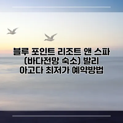 블루 포인트 리조트 앤 스파 (바다전망 숙소) 발리 아고다 최저가 예약방법