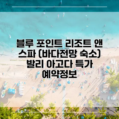 블루 포인트 리조트 앤 스파 (바다전망 숙소) 발리 아고다 특가 예약정보