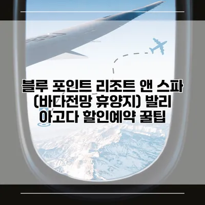 블루 포인트 리조트 앤 스파 (바다전망 휴양지) 발리 아고다 할인예약 꿀팁