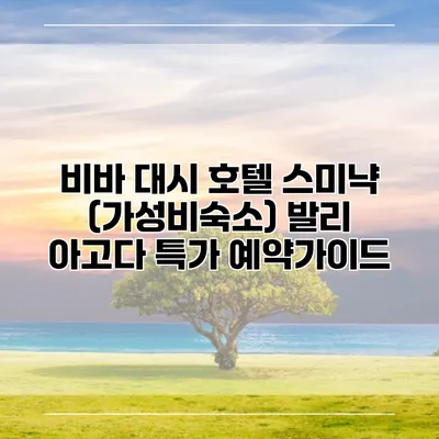 비바 대시 호텔 스미냑 (가성비숙소) 발리 아고다 특가 예약가이드