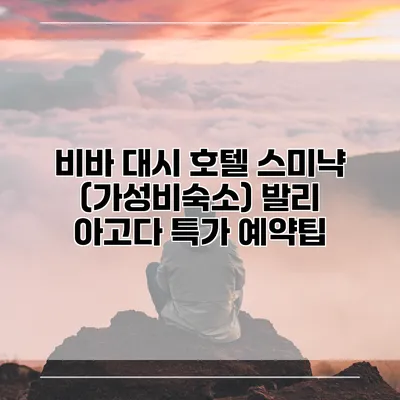 비바 대시 호텔 스미냑 (가성비숙소) 발리 아고다 특가 예약팁