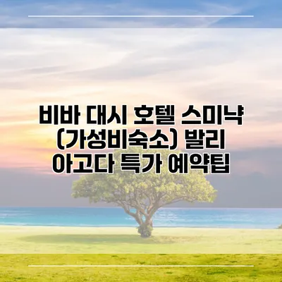비바 대시 호텔 스미냑 (가성비숙소) 발리 아고다 특가 예약팁