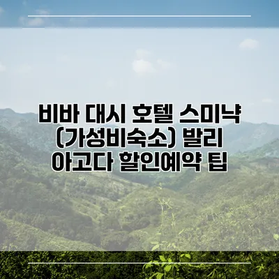 비바 대시 호텔 스미냑 (가성비숙소) 발리 아고다 할인예약 팁