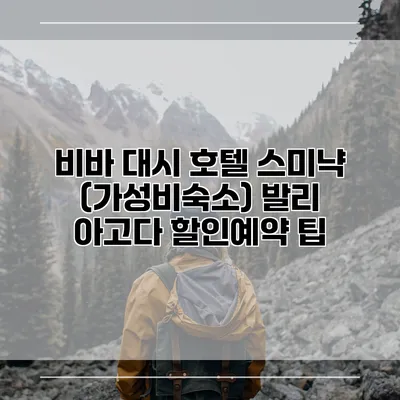비바 대시 호텔 스미냑 (가성비숙소) 발리 아고다 할인예약 팁