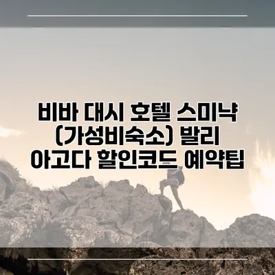 비바 대시 호텔 스미냑 (가성비숙소) 발리 아고다 할인코드 예약팁