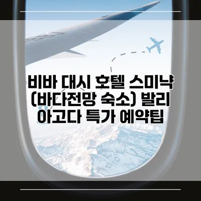 비바 대시 호텔 스미냑 (바다전망 숙소) 발리 아고다 특가 예약팁