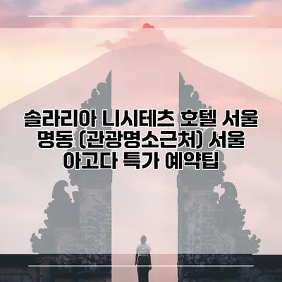솔라리아 니시테츠 호텔 서울 명동 (관광명소근처) 서울 아고다 특가 예약팁