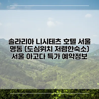 솔라리아 니시테츠 호텔 서울 명동 (도심위치 저렴한숙소) 서울 아고다 특가 예약정보
