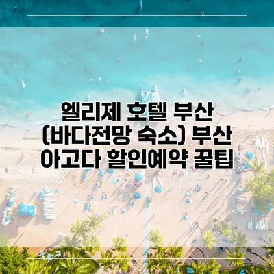 엘리제 호텔 부산 (바다전망 숙소) 부산 아고다 할인예약 꿀팁