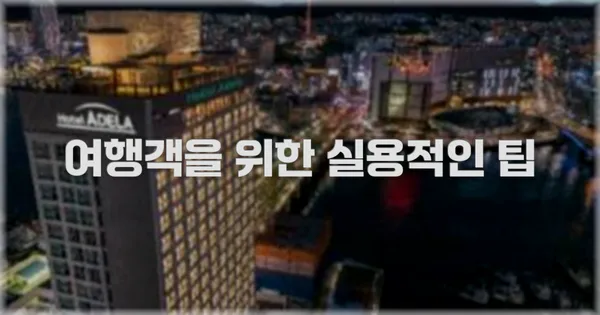 여행객을 위한 실용적인 팁