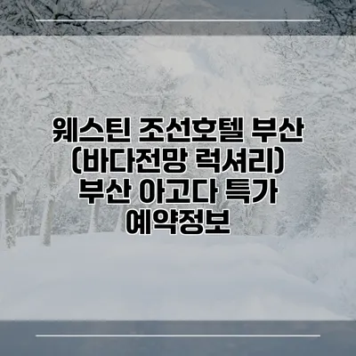 웨스틴 조선호텔 부산 (바다전망 럭셔리) 부산 아고다 특가 예약정보