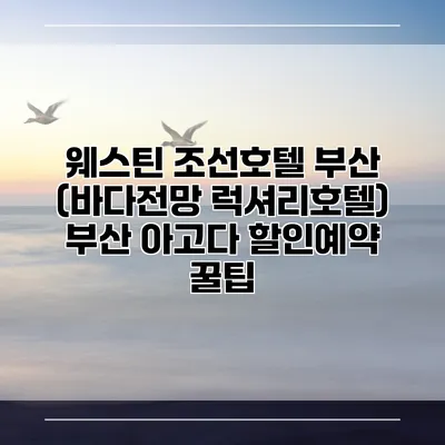 웨스틴 조선호텔 부산 (바다전망 럭셔리호텔) 부산 아고다 할인예약 꿀팁