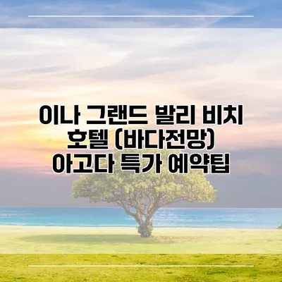 이나 그랜드 발리 비치 호텔 (바다전망) 아고다 특가 예약팁