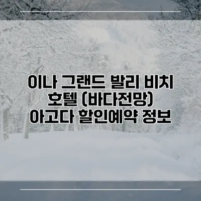 이나 그랜드 발리 비치 호텔 (바다전망) 아고다 할인예약 정보