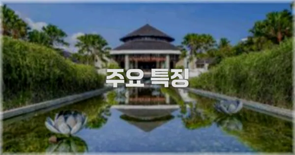 ✨ 주요 특징
