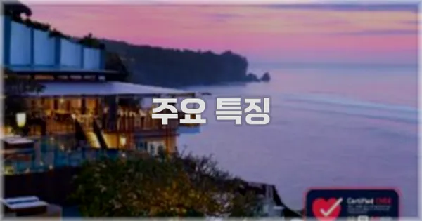 ✨ 주요 특징