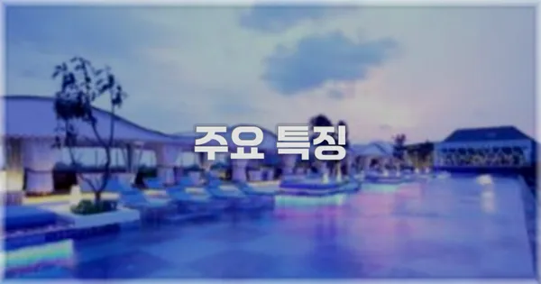 ✨ 주요 특징