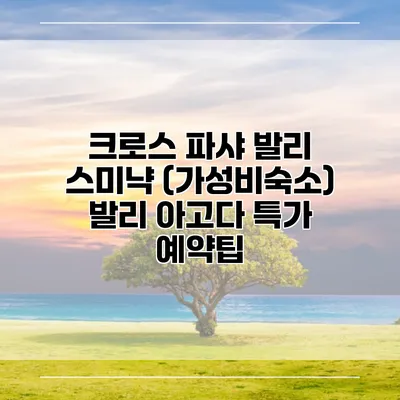 크로스 파샤 발리 스미냑 (가성비숙소) 발리 아고다 특가 예약팁