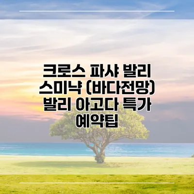 크로스 파샤 발리 스미냑 (바다전망) 발리 아고다 특가 예약팁